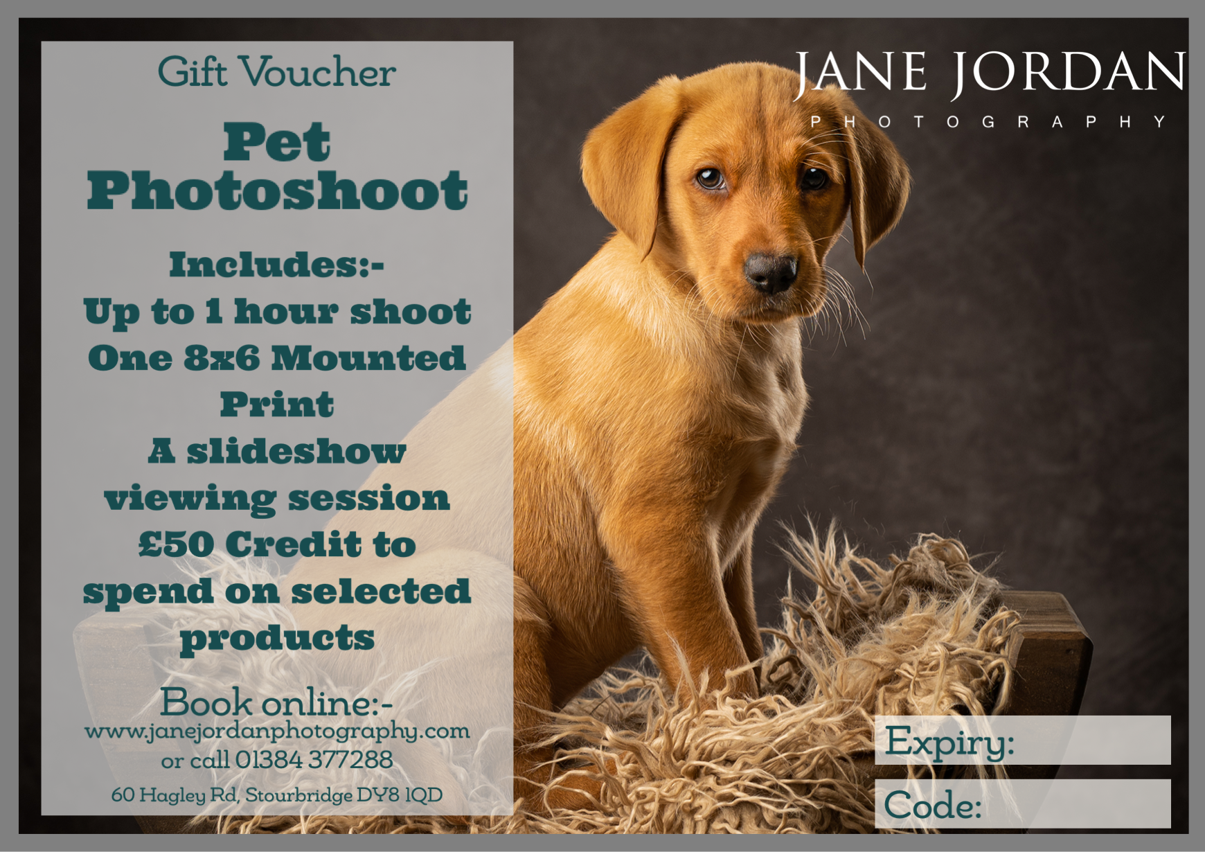 Pet Portrait Gift Voucher, ideal gift idea